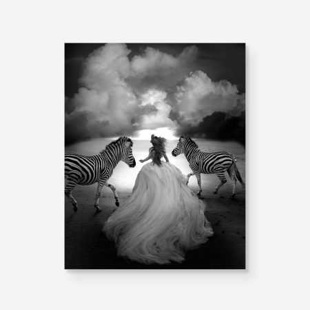 B&W photo of girl in dress running free with zebras
