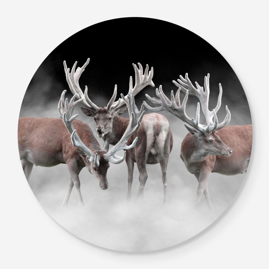 three stags in the mist