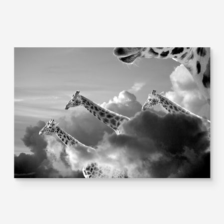 giant giraffes in the clouds