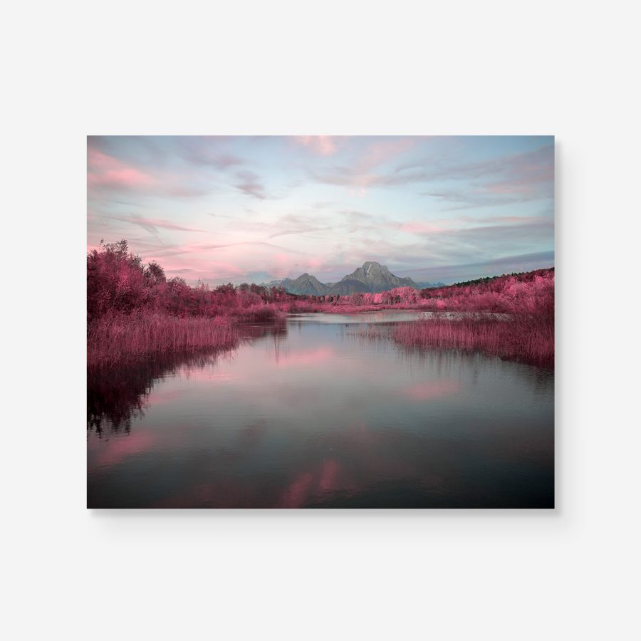 pink forest