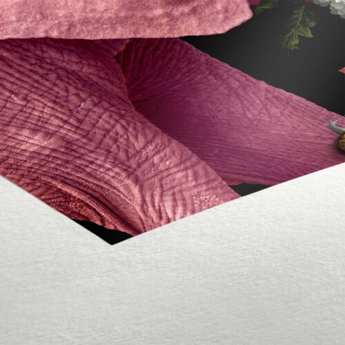 Pink Elephant - Image 4
