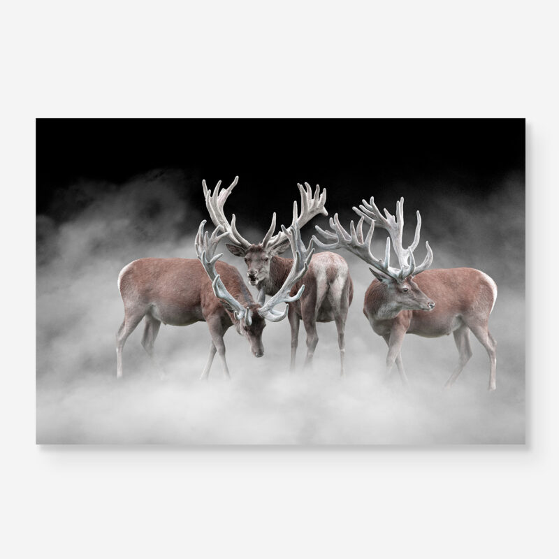 three stags in the mist