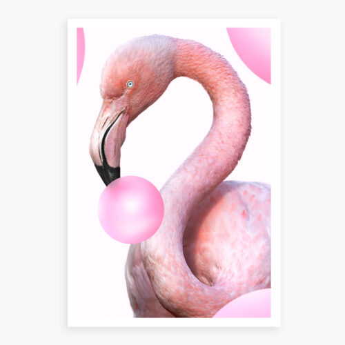 flamingo with bubblegum