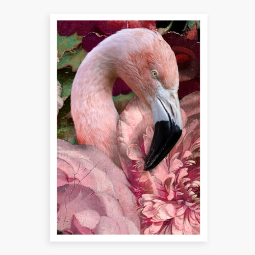 flamingo with roses