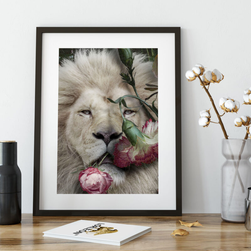 lion with a rose in his mouth