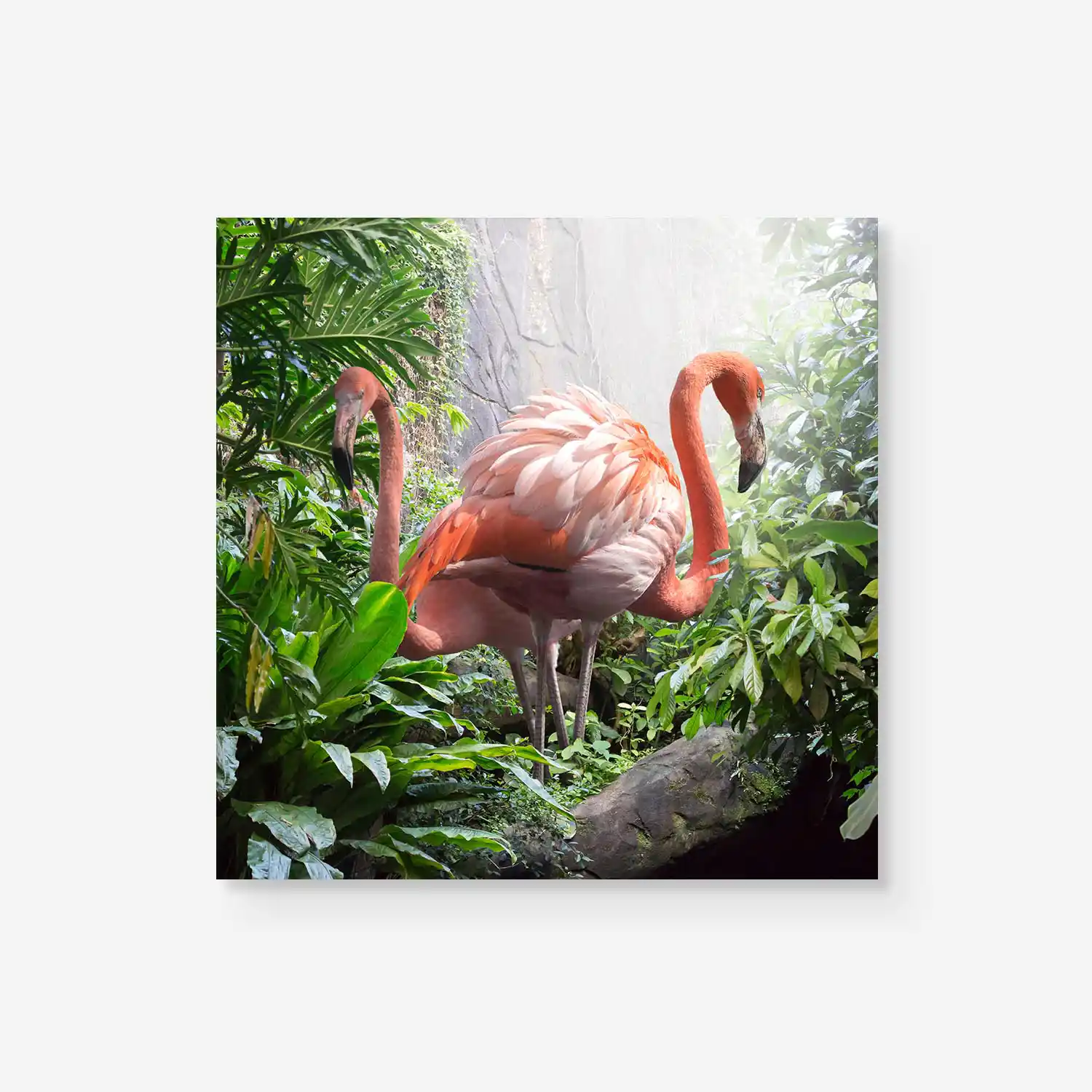 flamingos standing in a tropical jungle photography art artwork